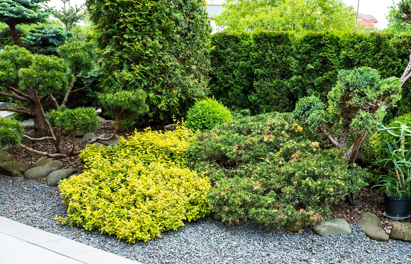 Urban Garden Landscaping Home